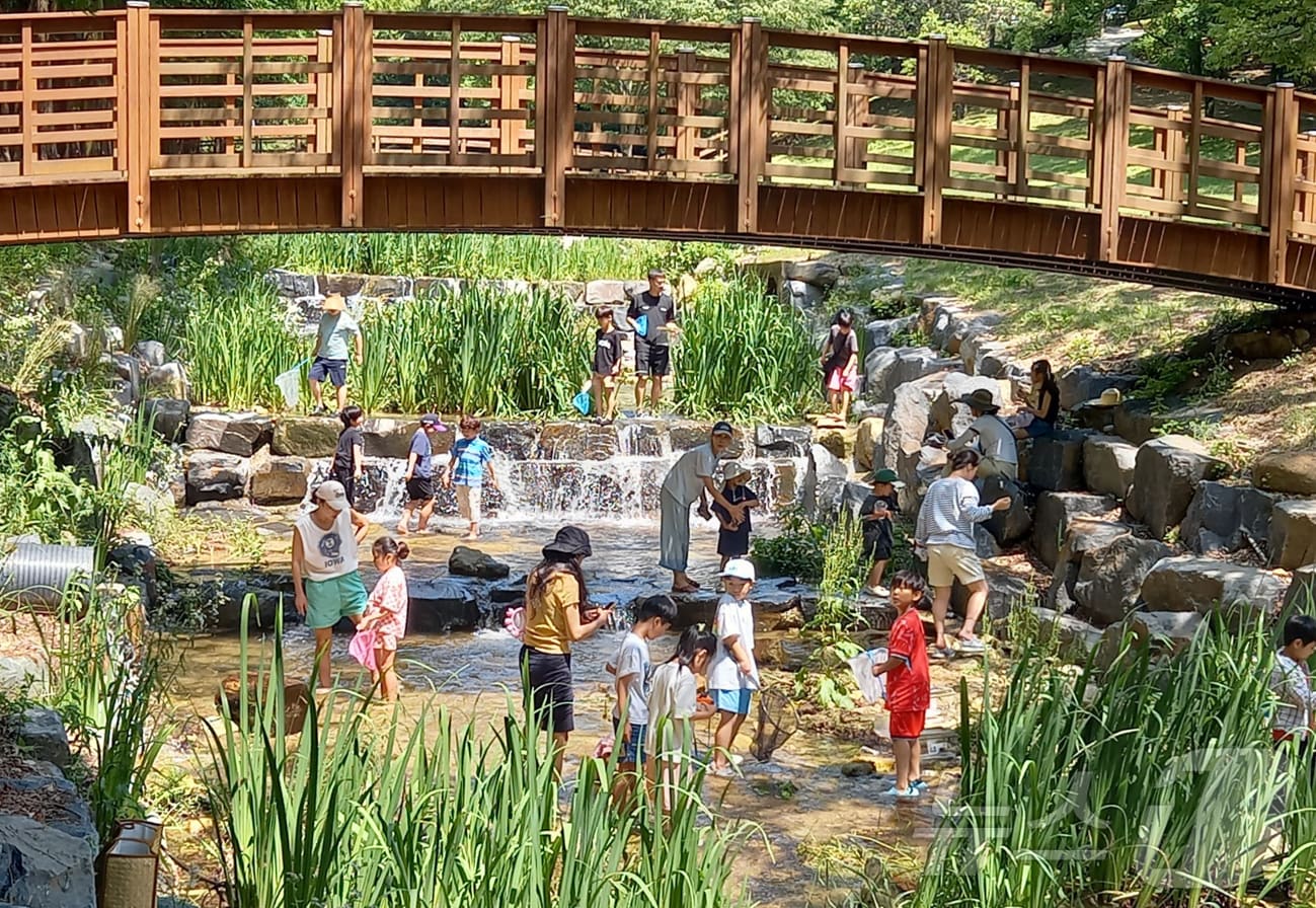 대전의 한낮 기온이 30도 안팎으로 오르면서 무더위 날씨를 보인 22일 오후 대전 중구 사정공원 계곡을 찾은 시민들이 물놀이로 더위를 식히고 있다. 2025.6.22/뉴스1 ⓒ News1 박찬수 기자