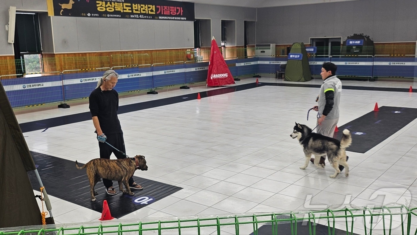 오는 10월26일부터 맹견 사육허가제 시행에 따라 맹견을 사육하려면 기질 평가를 받아야 한다.ⓒ News1 김대벽기자