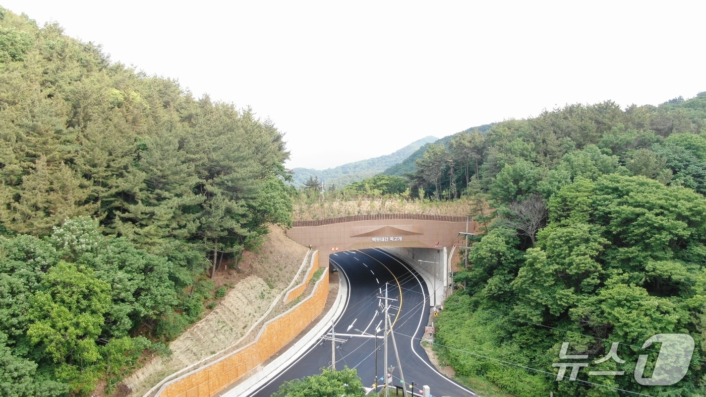 백두대간 생태 축 복원 후(서산시 독고개) (산림청 제공.재판매 및 DB금지)/뉴스1