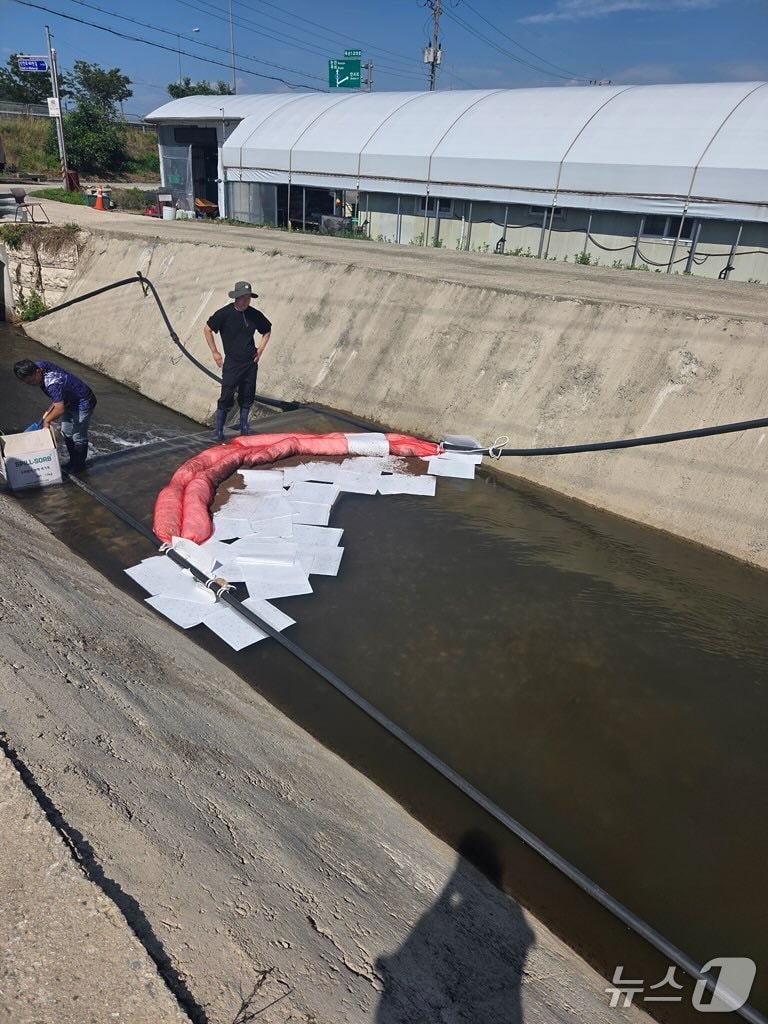  충남 부여군 옥산저수지와 연결된 배수로에 저지선과 흡착포가 설치된 모습(부여군 안전총괄과 제공. 재판매 및 DB 금지) 2025.6.22/뉴스1