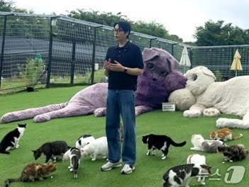 고양이 구충하는 나응식 수의사(한국베링거인겔하임동물약품 제공) ⓒ 뉴스1