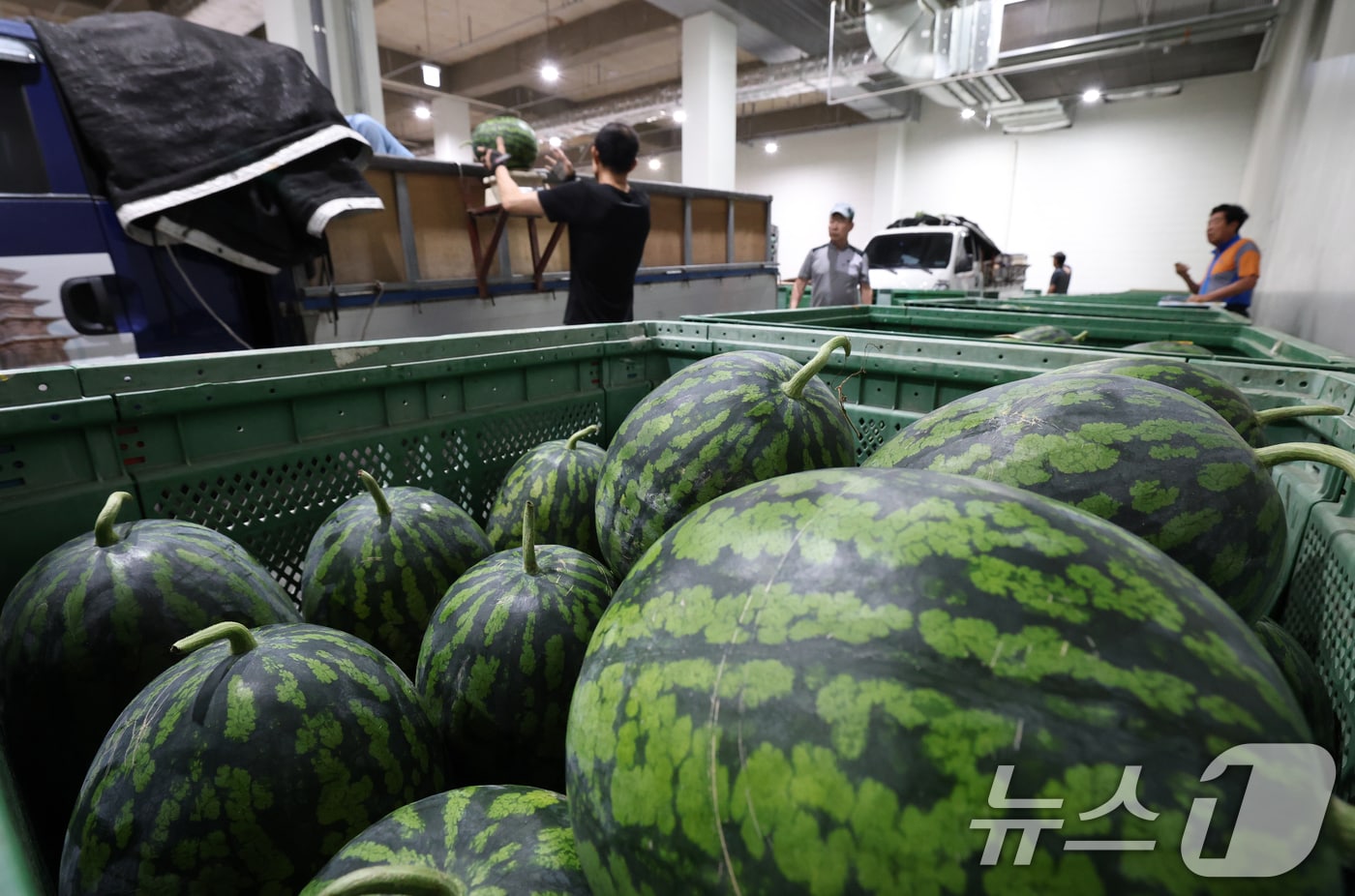 (사진은 기사 내용과 무관함) / 뉴스1 ⓒ News1
