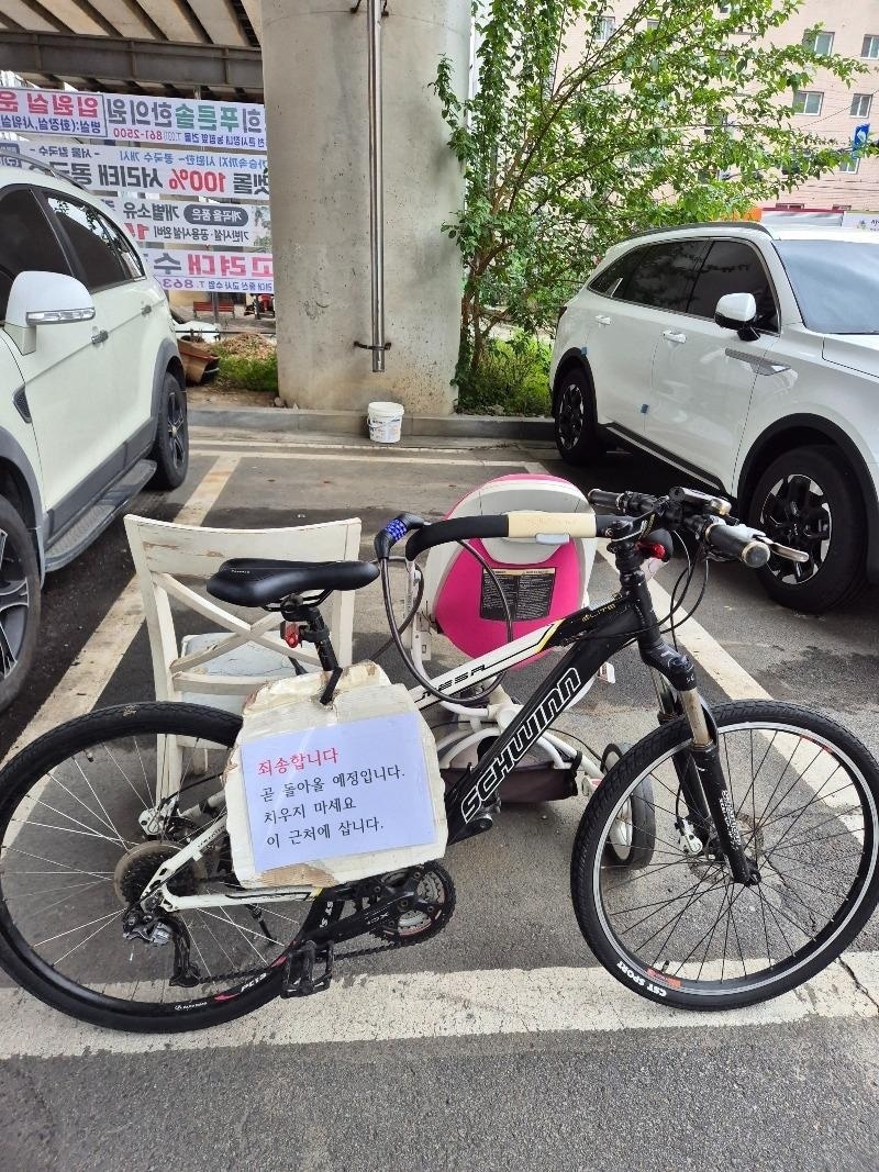 (보배드림 갈무리)