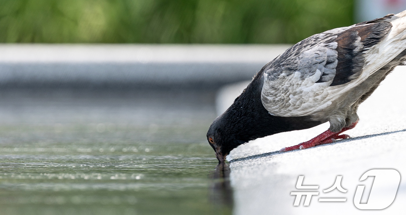 자료사진/뉴스1 ⓒ News1 