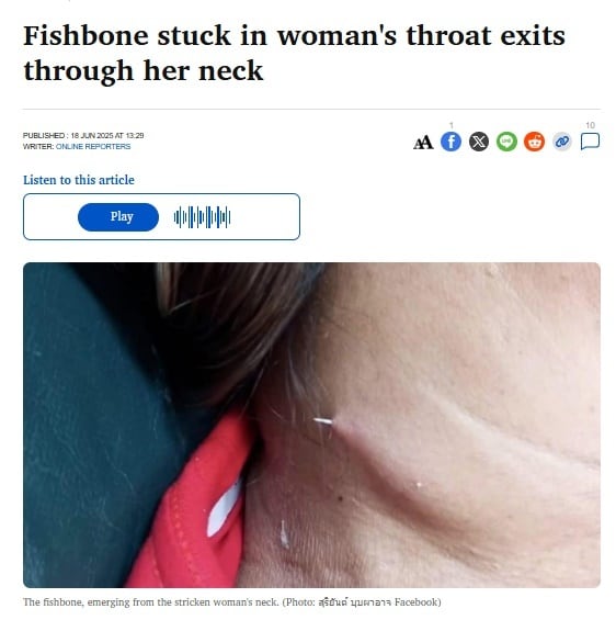 &#40;방콕포스트 갈무리&#41;