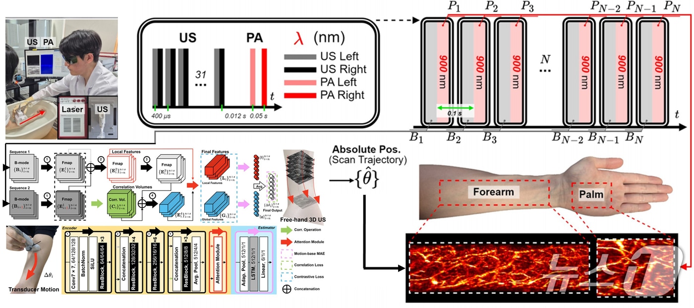 연구 이미지. (부산대 제공. 재판매 및 DB 금지)