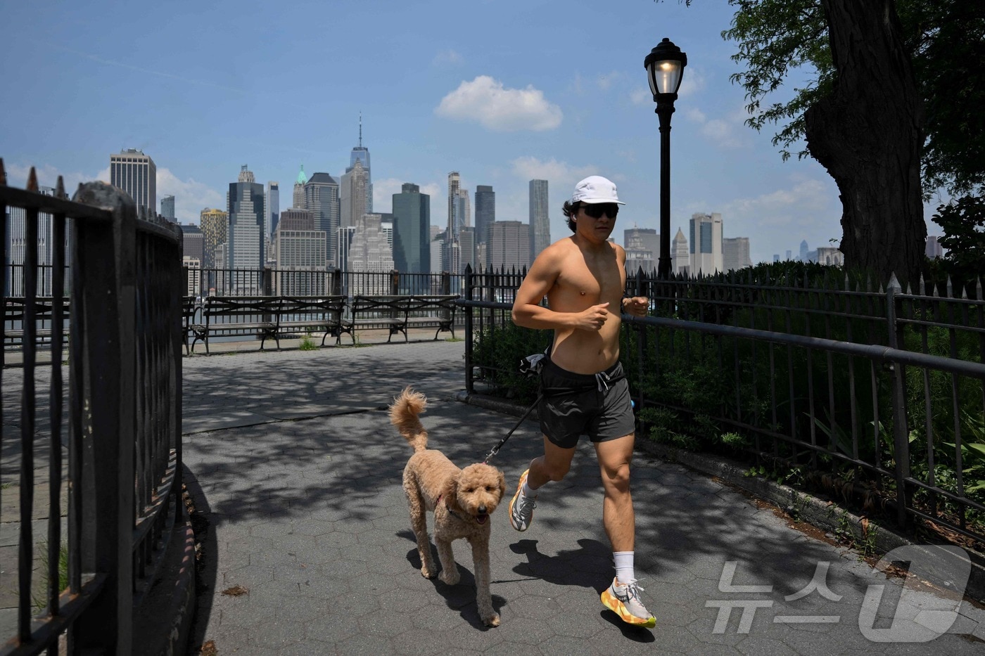 미국 뉴욕의 기온이 섭씨 34도까지 오르며 폭염 경보가 발령된 가운데 한 시민이 반려견과 함께 조깅을 하고 있다. 2025.06.23 ⓒ AFP=뉴스1 ⓒ News1 김예슬 기자