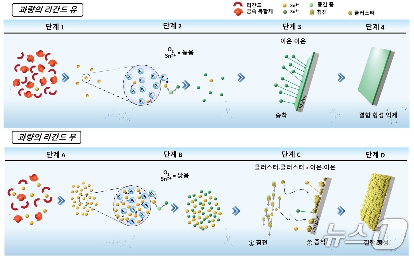 고품질 SnO₂ 박막 합성을 위한 과잉 리간드 전략 메커니즘 (한국연구재단 제공) /뉴스1