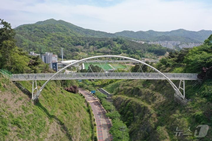 높이 37m, 길이 76m에 달하는 광주 남구 제석산 구름다리의 모습.(광주 남구 제공. 재판매 및 DB 금지)