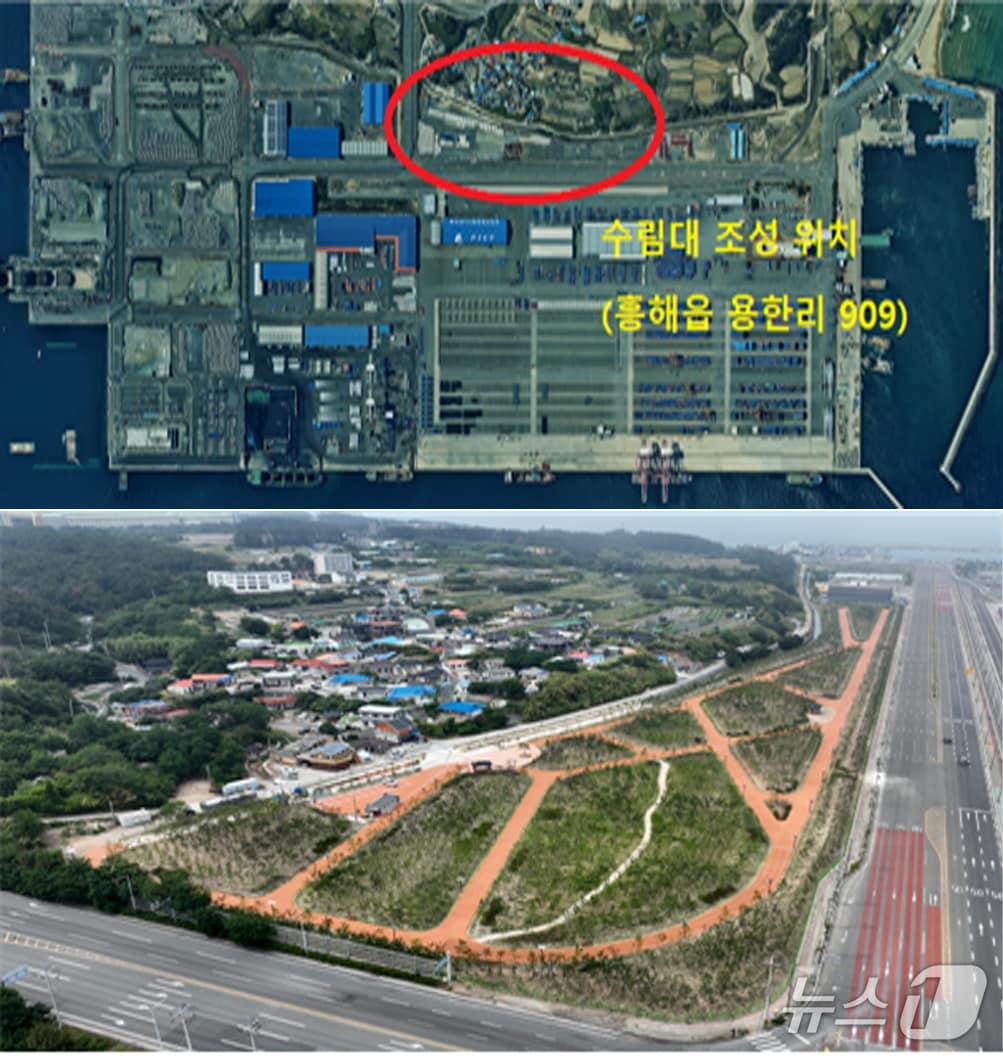 포항해양수산청이 포항 영일만항을 운행하는 화물차 등에서 발생하는 비산 분진을 줄이기 위해 조성한 수림대 모습.(포항해양수산청 제공, 재판매 및 DB금지) 2025.6.25/뉴스1