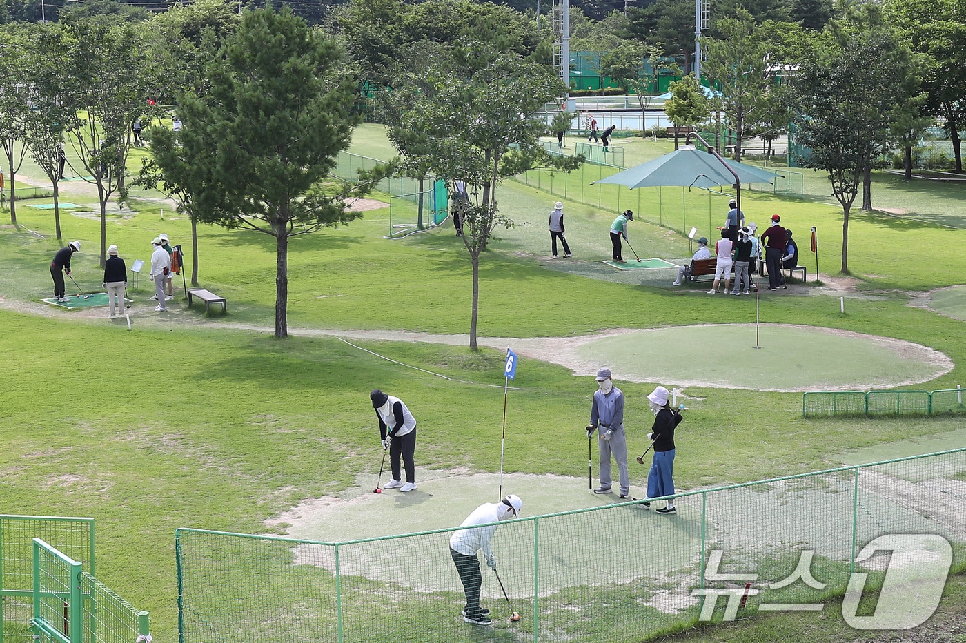장맛비가 주춤한 25일 대구 수성구 팔현파크골프장을 찾은 동호인들이 파크골프를 즐기고 있다. 2025.6.25/뉴스1 ⓒ News1 공정식 기자