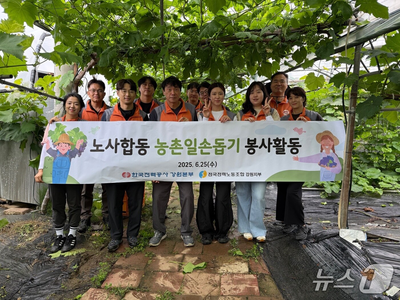 농촌 일손 돕기 봉사활동.(한국전력 강원본부 제공. 재판매 및 DB금지)/뉴스1