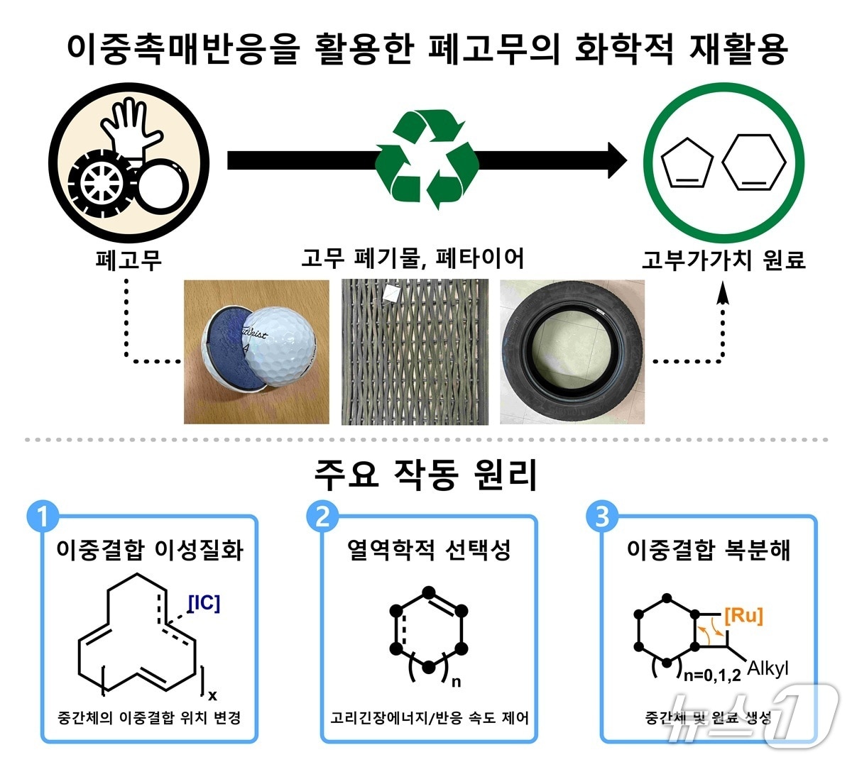 이중촉매반응을 활용한 폐고무의 화학적 재활용(KAIST 제공) /뉴스1
