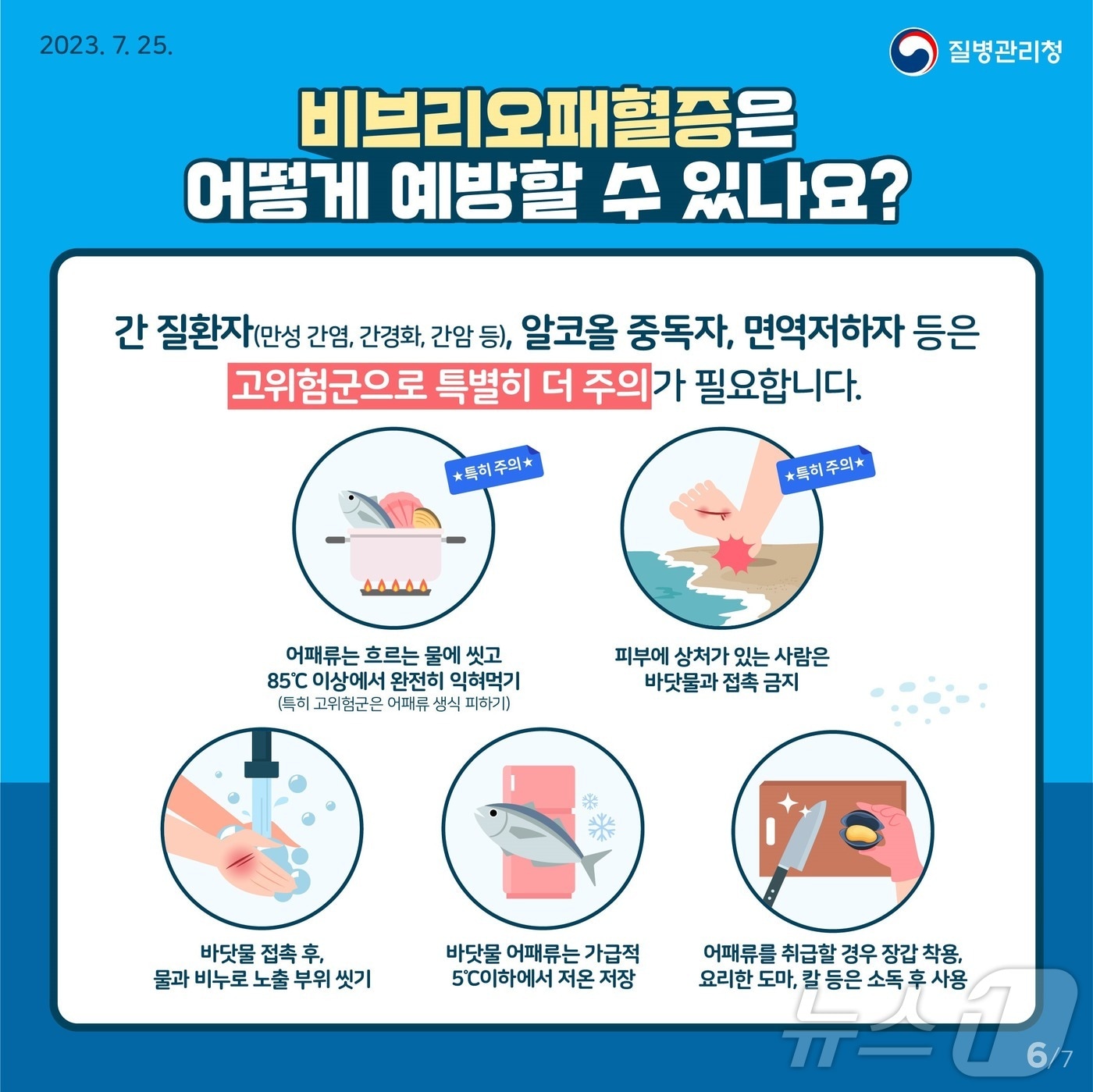 비브리오 패혈증 예방수칙. /뉴스1