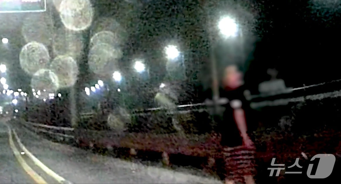 왕복 7차선 도로를 배회하고 있는 A 씨. (경기남부경찰청 제공. 재판매 및 DB 금지) 2025.6.26/뉴스1