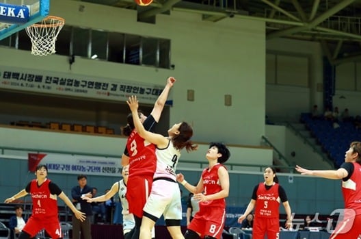 강원 태백시장배 전국실업농구연맹전 겸 동호회 농구대회 자료 사진. (태백시 제공. 재판매 및 DB금지) 2025.6.26/뉴스1