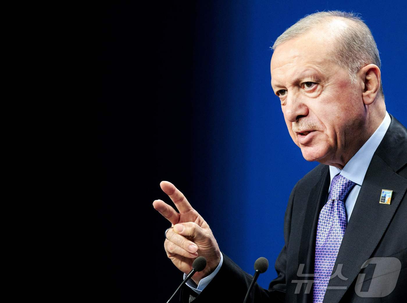 지난 6월 25일(현지시간) 레제프 타이이프 에르도안 튀르키예 대통령이 북대서양조약기구(NATO‧나토) 정상회의가 열리는 네덜란드 헤이그에서 기자회견을 갖고 있다. 2025.06.25 ⓒ AFP=뉴스1 ⓒ News1 김지완 기자