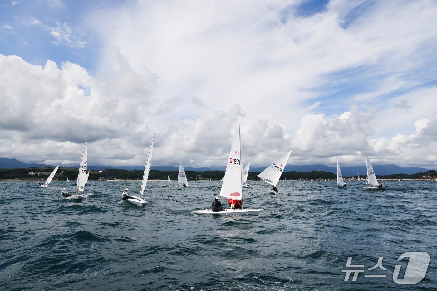 예년 양양군수배 요트대회.(양양군 제공, 재판매 및 DB 금지) 2025.6.26/뉴스1