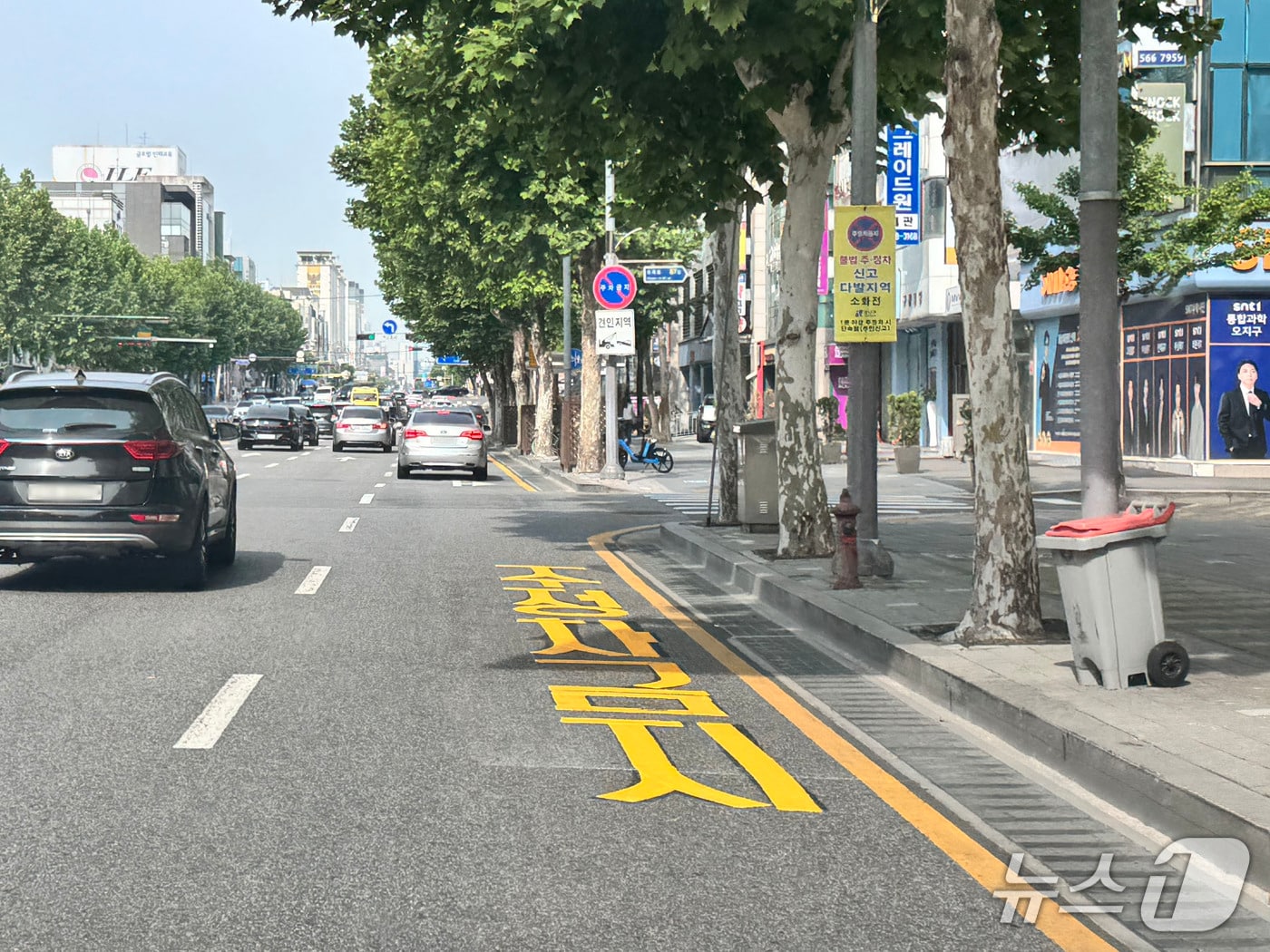 강남구 대치동 학원가 주정차금지 노면 표시.(강남구 제공)