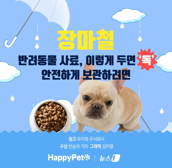 ⓒ News1 김지영 디자이너