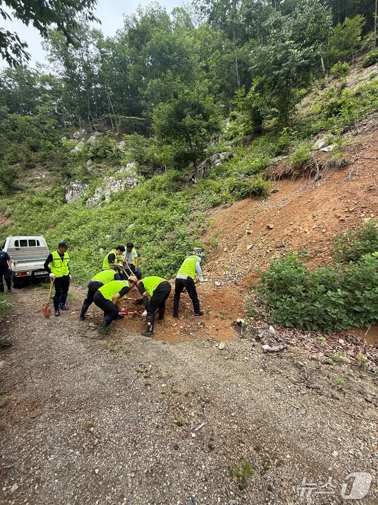 금산군 임도관리단 활동 모습 (금산군 제공. 재판매 및 DB금지)/뉴스1