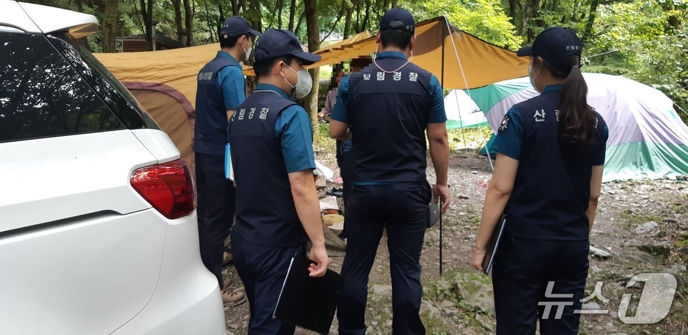 불법행위 단속하는 산림특사경.(동부산림청 제공, 재판매 밍 DB 금지) 2025.6.27/뉴스1