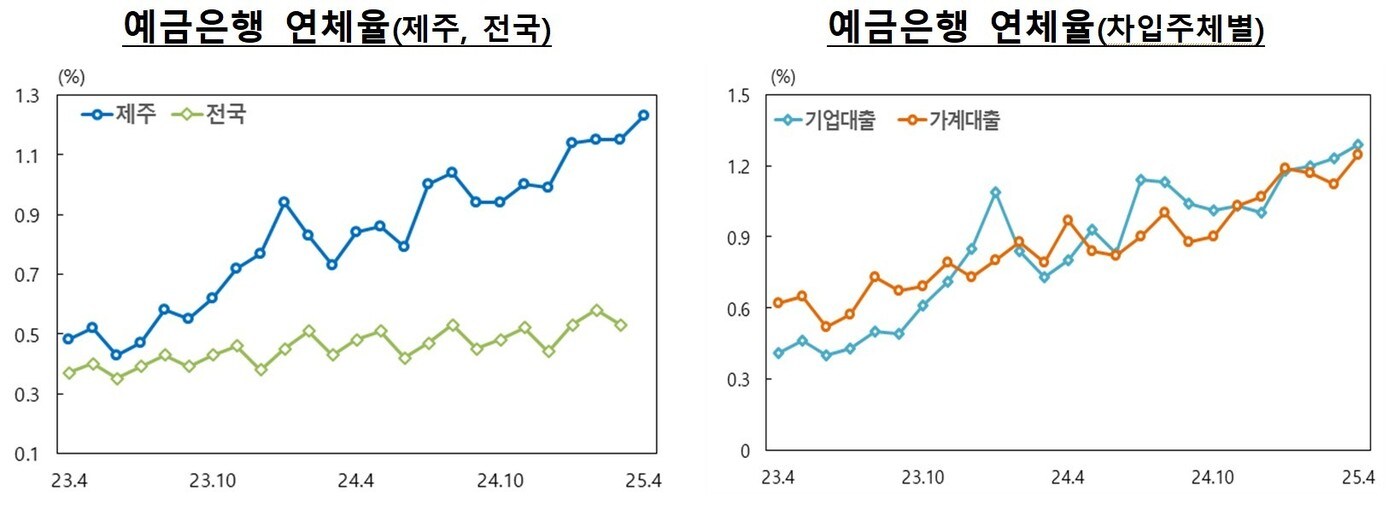 제주지역 예금은행 대출 연체율 그래프.(한국은행 제주본부 제공, 재판매 및 DB 금지)
