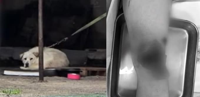 (JTBC '사건반장' 갈무리)