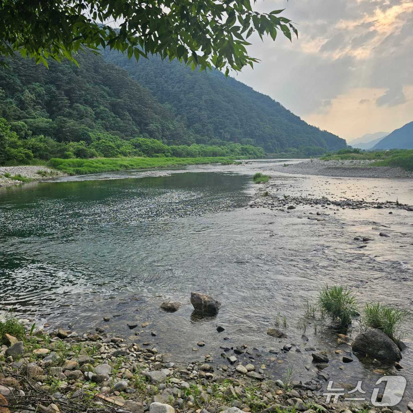 영월군 김삿갓면 내리천.(강원도소방본부 제공. 재판매 및 DB금지)/뉴스1