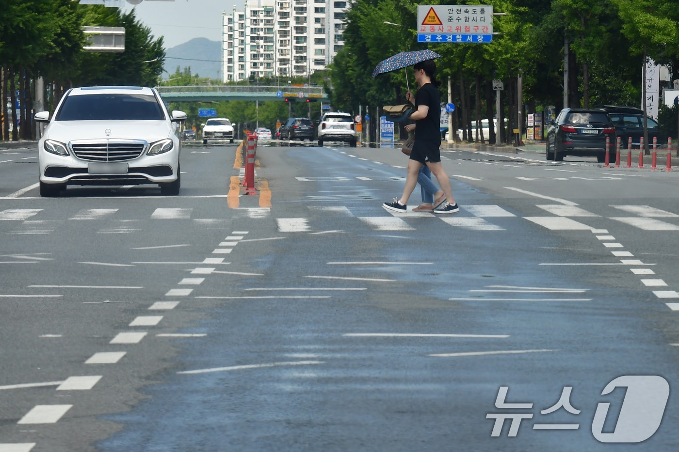 경북 경주시 전역에 폭염경보가 발령된 29일 오후 용강동 교차로에서 양산을 쓴 시민이 횡단보도를 건너가고 있다. 이날 경주 지역 낮 최고 기온은 37.2도까지 치솟았다. 2025.6.29/뉴스1 ⓒ News1 최창호 기자
