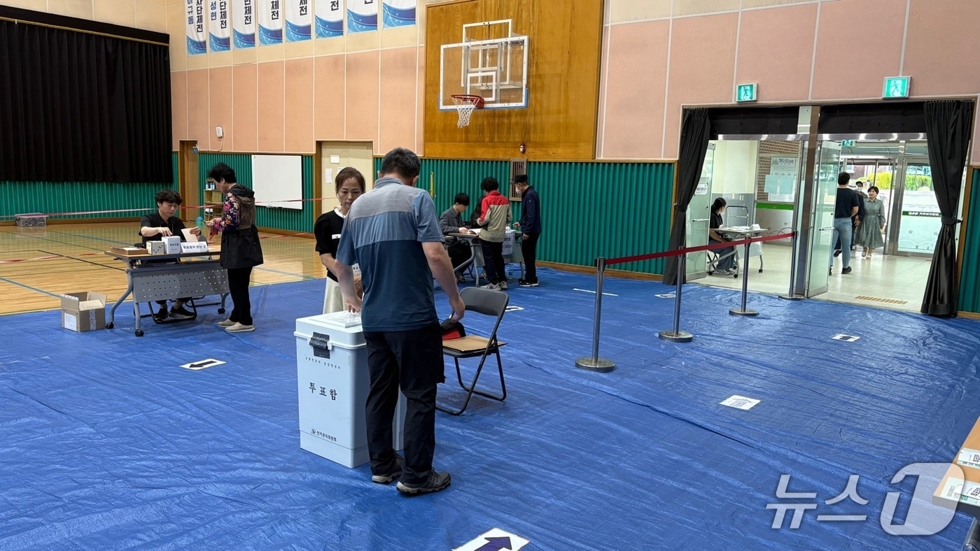 제21대 대통령 선거일인 3일 오전 경남 창원시 성산구 대방초(사파동 제8투표소)에서 유권자들이 투표하고 있다.2025.6.3/뉴스1 강정태 기자