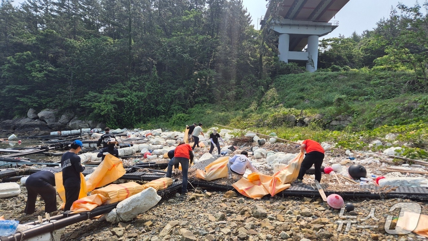 해양 정화활동.(전남도 제공. 재판매 및 DB금지) 2025.6.3/뉴스1