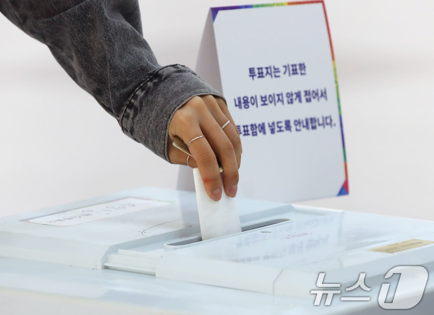 제21대 대통령 선거일인 3일 오전 부산진구청 백양홀에 마련된 부암제1동 제4투표소에서 유권자들이 투표를 하고 있다. 2025.6.3/뉴스1 ⓒ News1 윤일지 기자