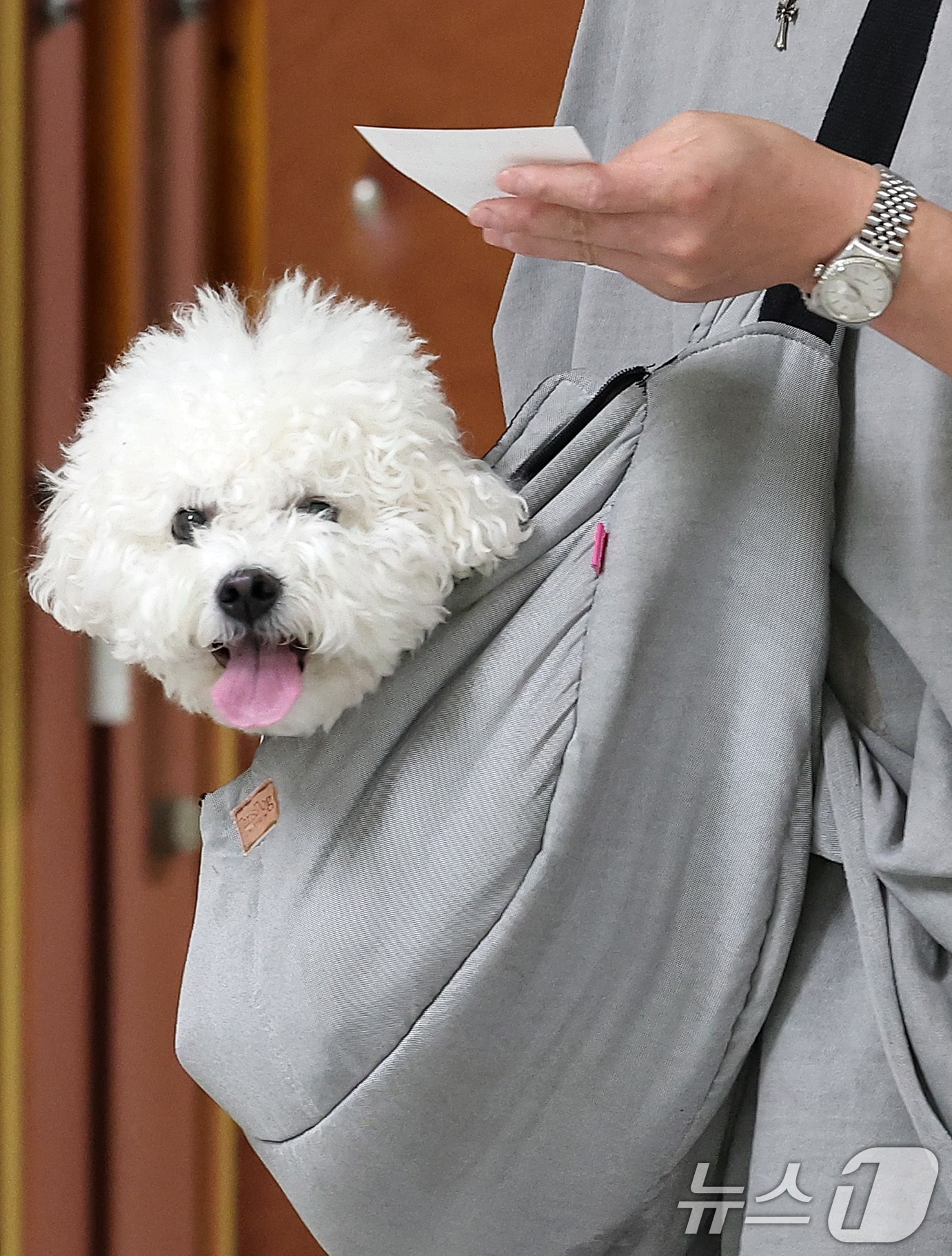 한 유권자가 반려견과 투표하고 있다. 2025.6.3/뉴스1 ⓒ News1 김성진 기자
