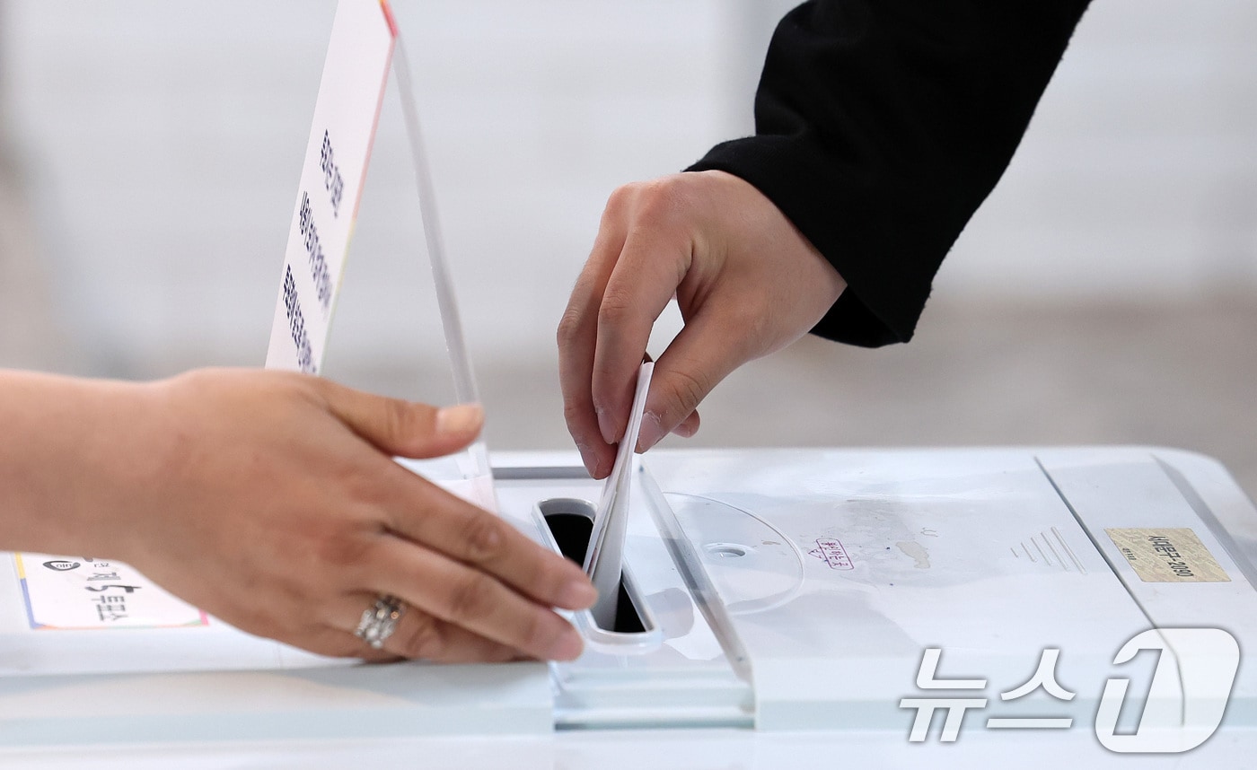 투표 저료사진. /뉴스1 ⓒ