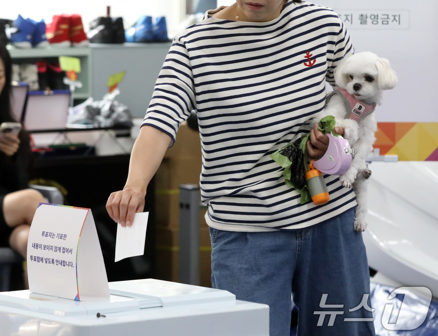 제21대 대통령 선거일인 3일 부산 수영구 레슬링넘버원 멀티짐에 마련된 남천제2동 제3투표소에서 유권자가 반려견을 안고 투표하고 있다. 2025.6.3/뉴스1 ⓒ News1 윤일지 기자