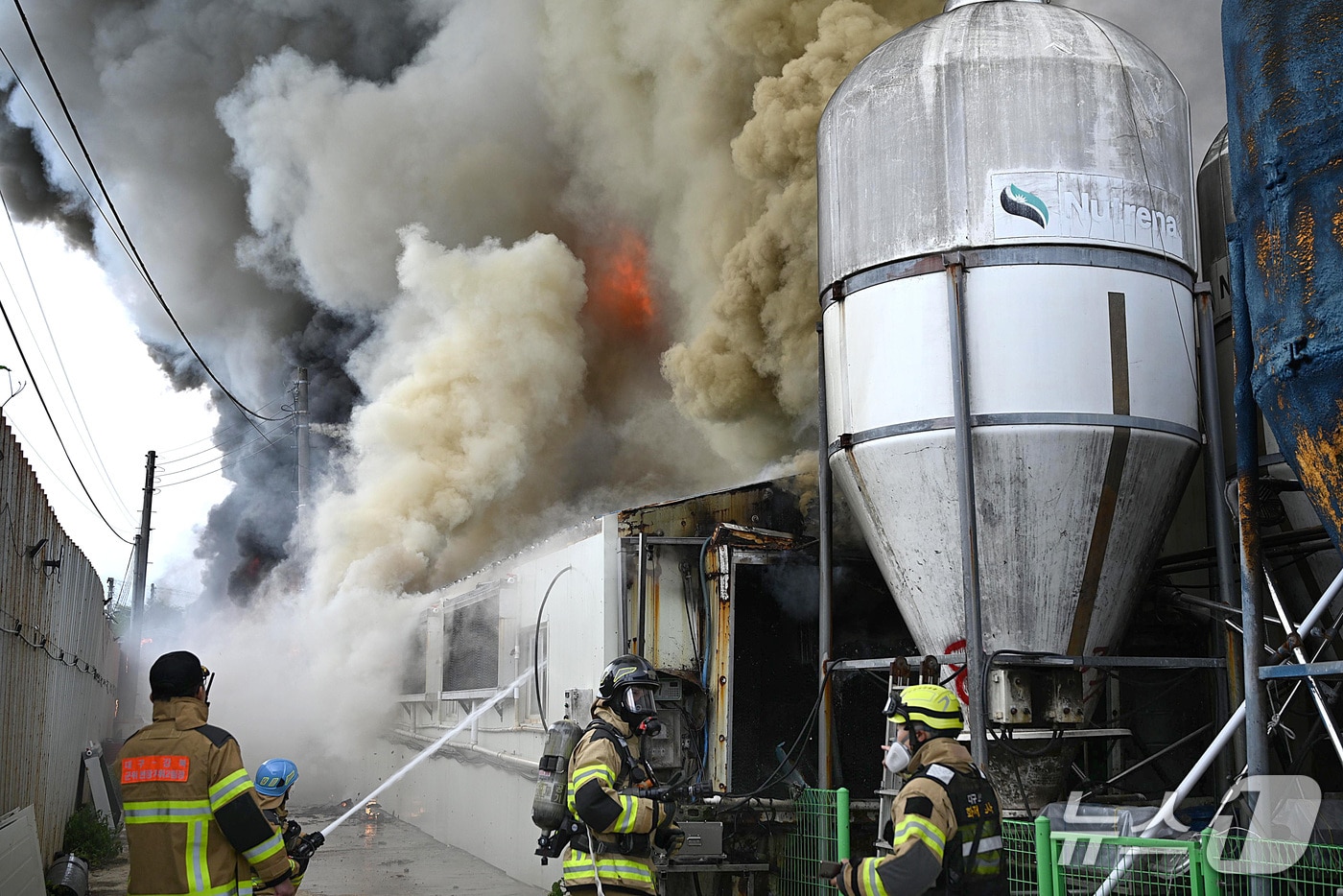 29일 오전 7시 41분쯤 대구 군위군 군위읍의 한 돈사에서 불이 나 소방 당국이 진화하고 있다. (대구소방본부 제공. 재판매 및 DB금지)