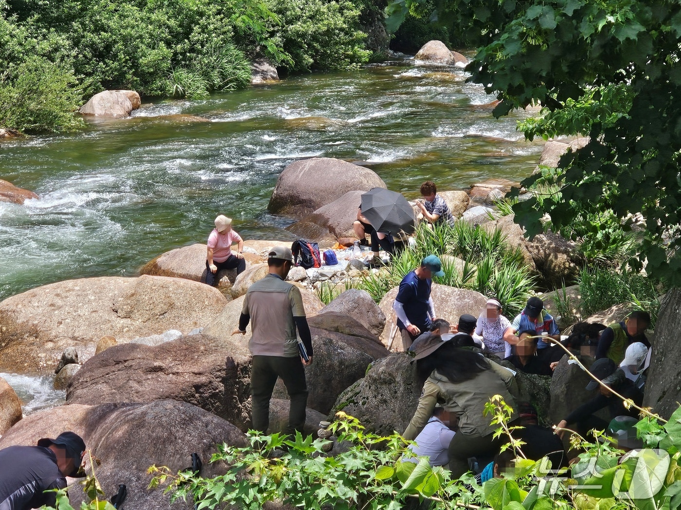 산청군 삼장면 대원사 계곡 단속 현장. 뉴스1 DB