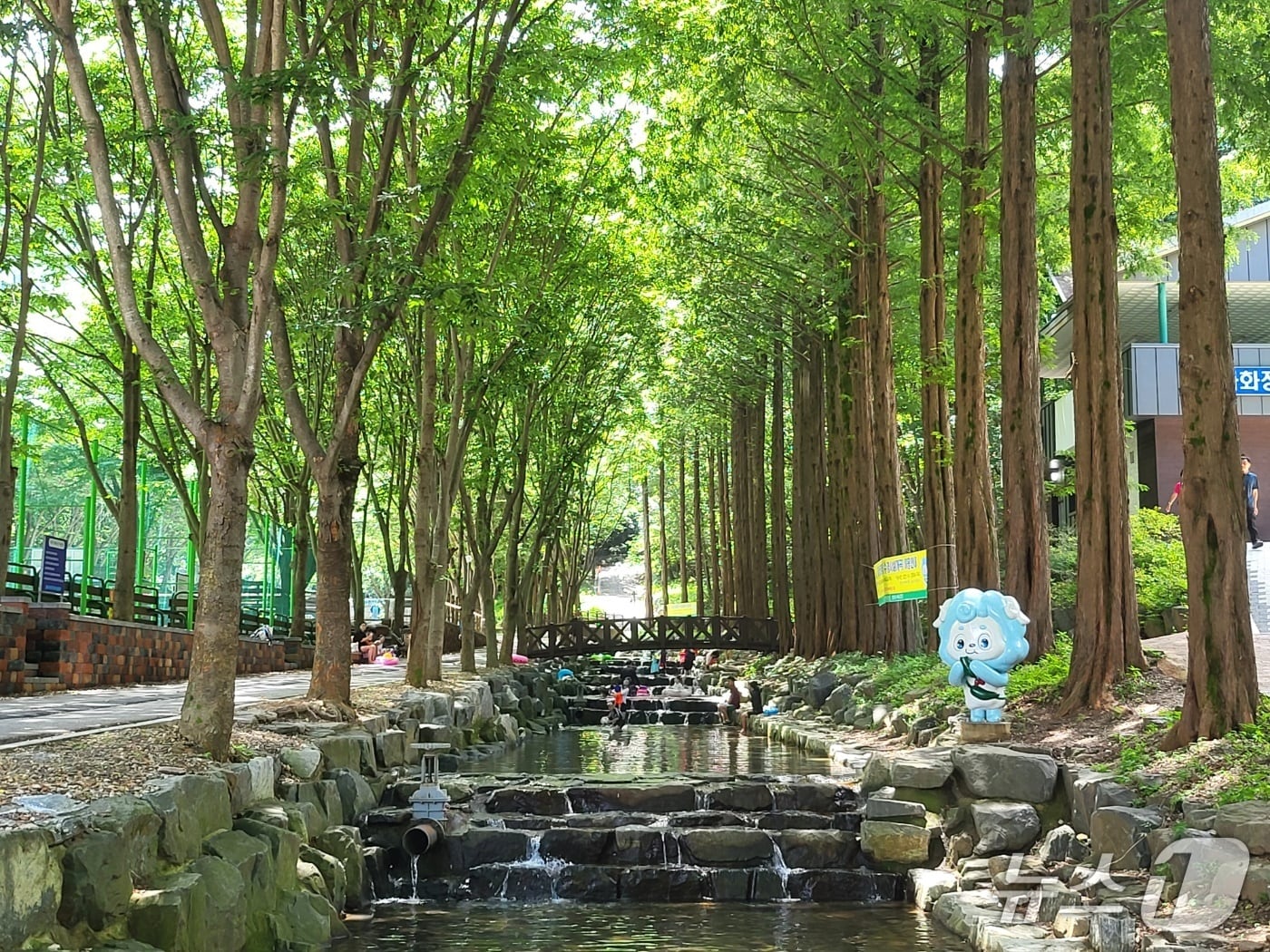 칠갑산자연휴양림의 계곡 모습. (청양군 제공. 재판매 및 DB금지)2025.6.30/뉴스1