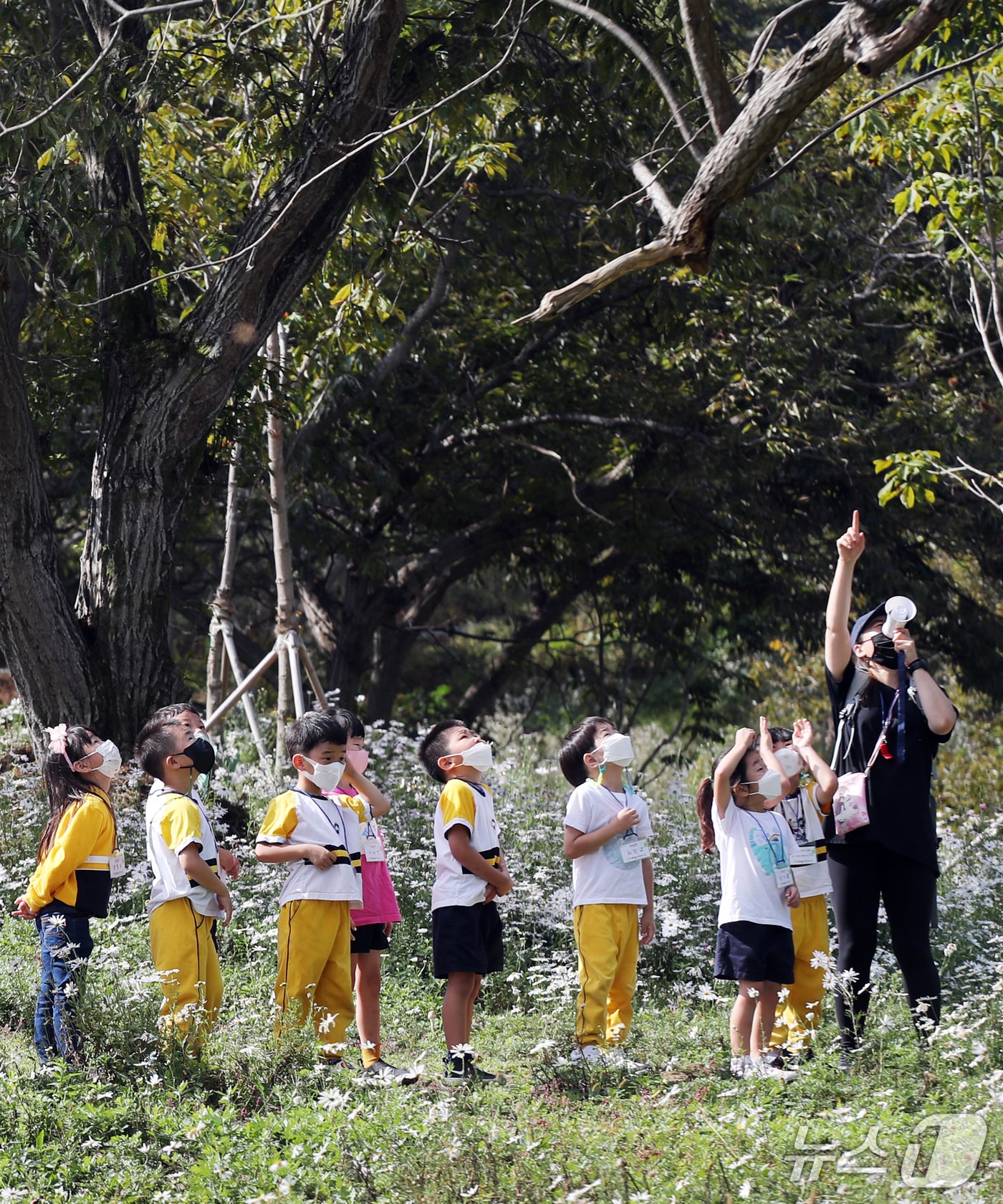 노루벌 적십자생태원 교육 모습. (대전서구청 제공. 재판매 및 DB금지)2025.6.30/뉴스1