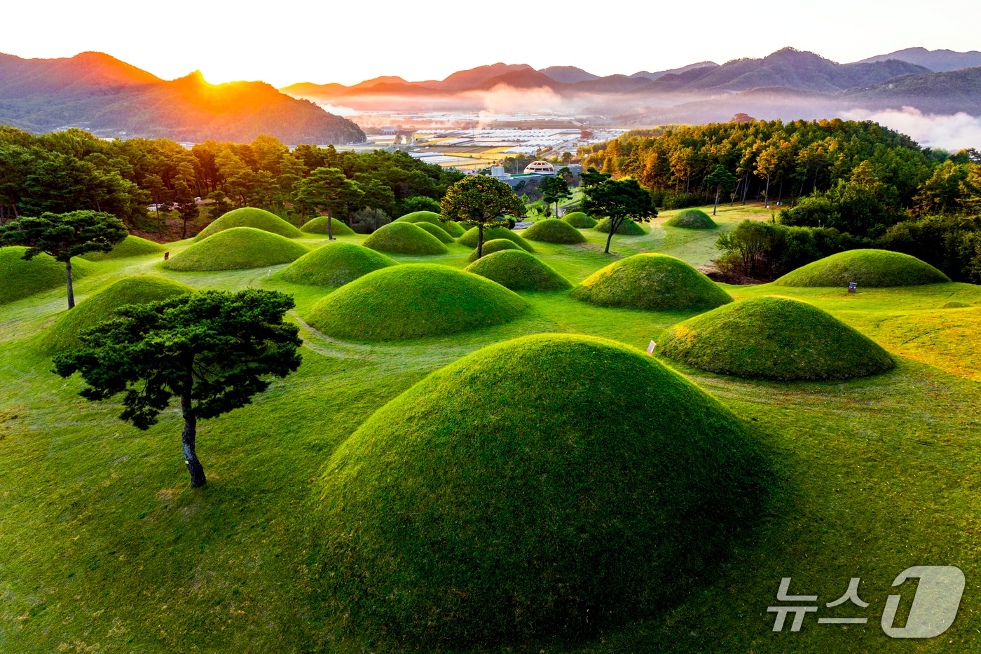 합천군 옥전고분군(합천군 제공. 재판매 및 DB금지).