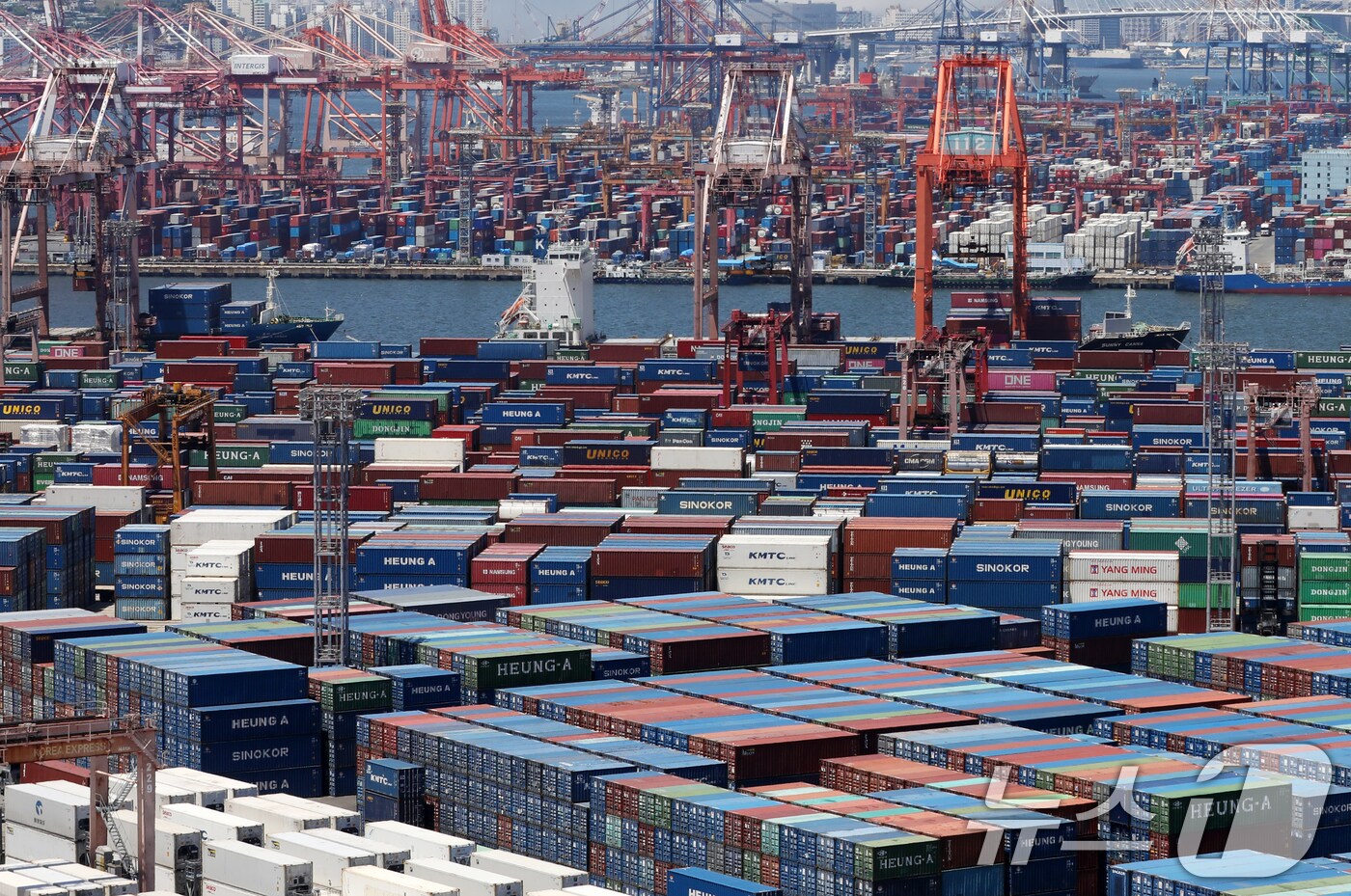 부산항 신선대 부두와 감만대 부두 야적장. 2025.6.30/뉴스1 ⓒ News1 윤일지 기자