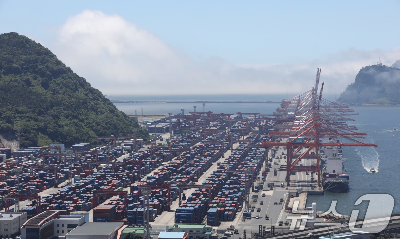 부산항 신선대 부두 야적장. 2025.6.30/뉴스1 ⓒ News1 윤일지 기자