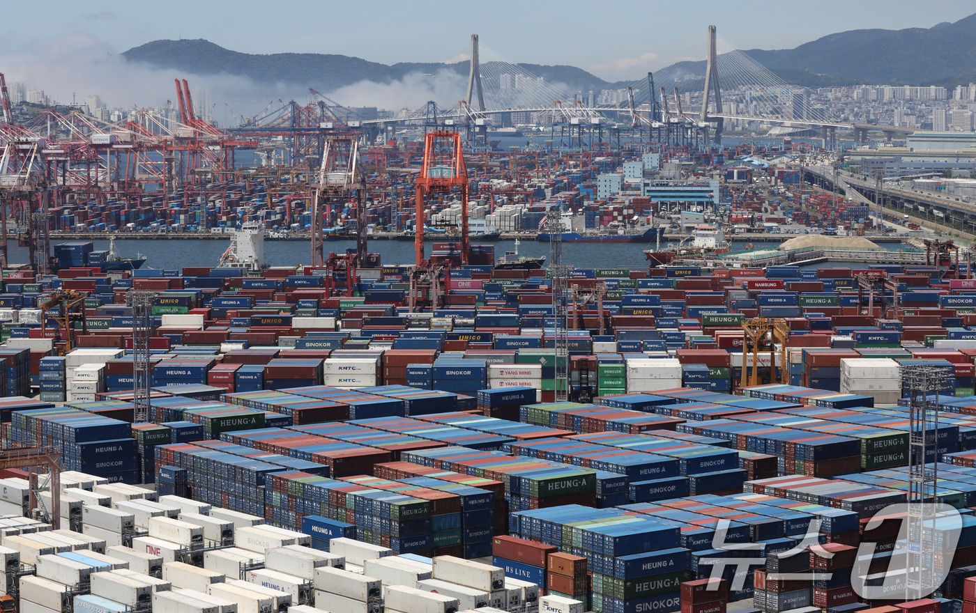 부산항 신선대부두와 감만부두 야적장에 컨테이너가 가득 쌓여 있는 모습. 2025.6.30/뉴스1 ⓒ News1 윤일지 기자