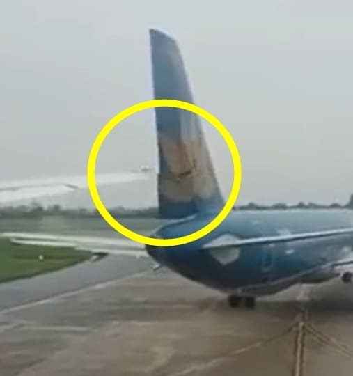 &#40;VN익스프레스 갈무리&#41; /뉴스1