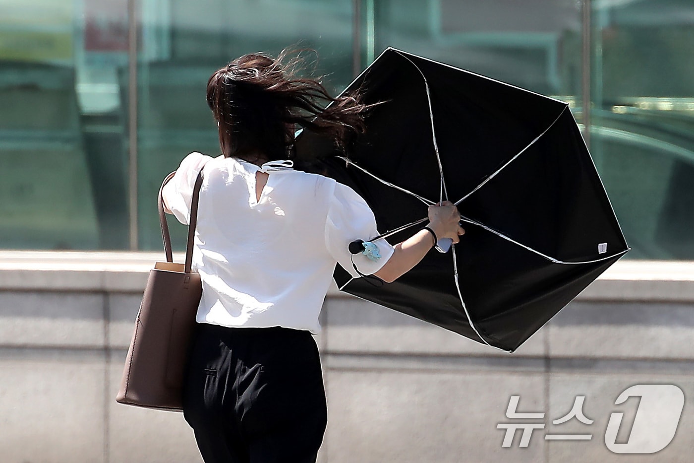 자료사진/뉴스1 ⓒ News1