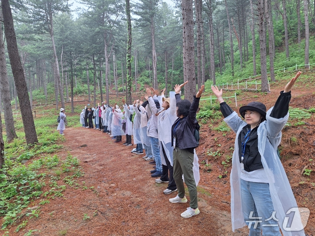 암 생존자 일상형 건강관리 산림치유사업 참가자들이 프로그램에 참여하고 있다. (산림청 한국산림복지진흥원 제공.재판매 및 DB금지)/뉴스1