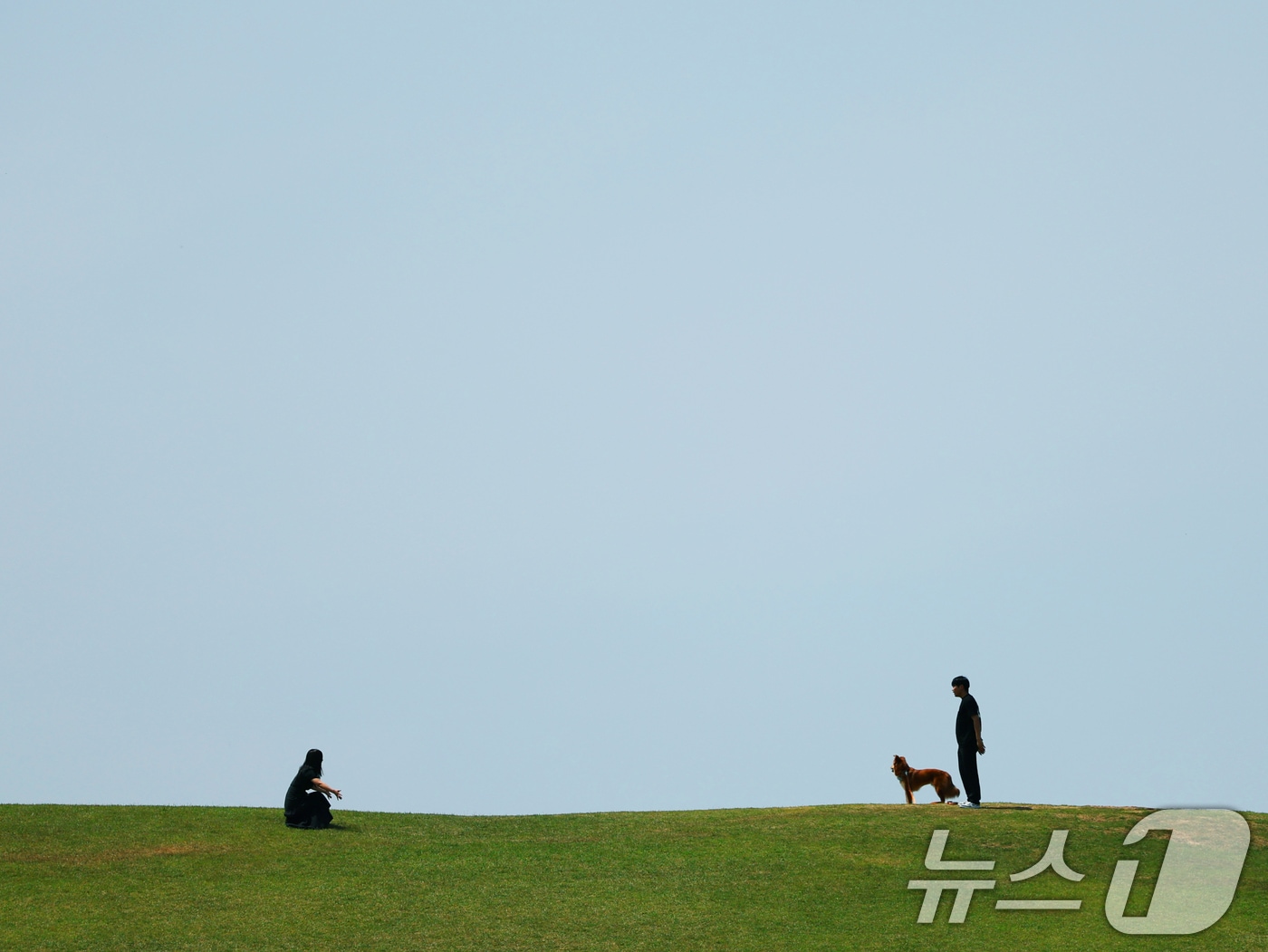 환경의 날이자 절기상 망종(芒種)인 지난 5일 오후 서울 송파구 올림픽공원'에서 시민이 반려견과 함께 산책을 하고 있다. 2025.6.5/뉴스1 ⓒ News1 황기선 기자