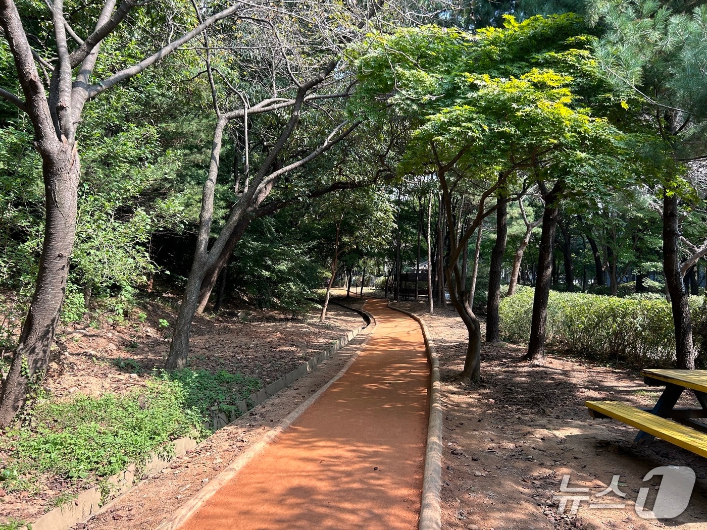 맨발걷기 산책로.(광명시 제공)