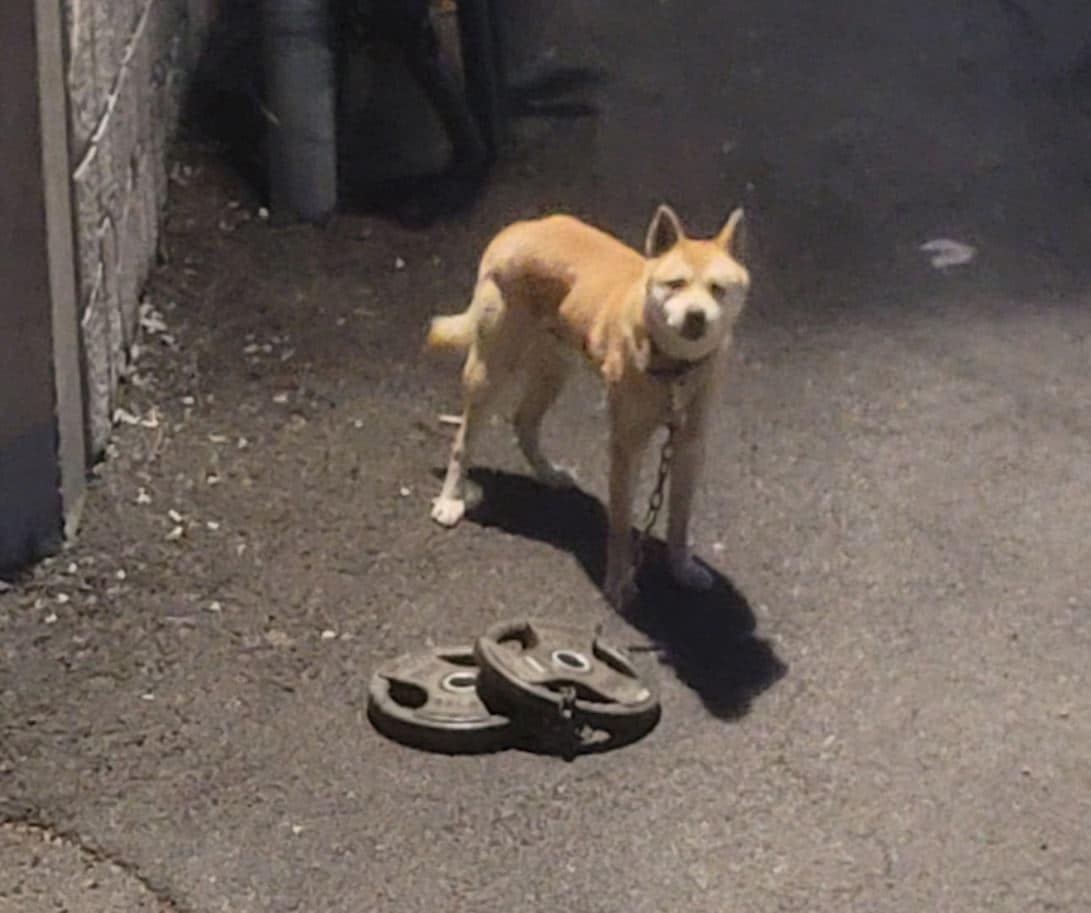 (인스타그램 갈무리)